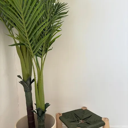 Maison Cosy Avec Cour Privée * Bruay-sur-l'Escaut